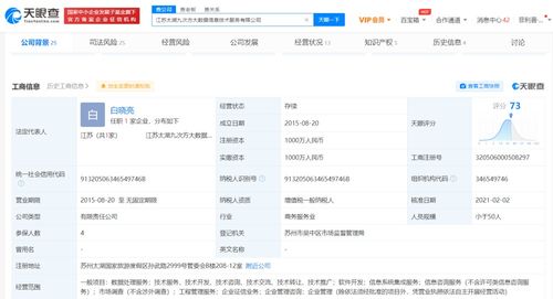 信息系統(tǒng)集成 數(shù)字時(shí)代的核心競爭力