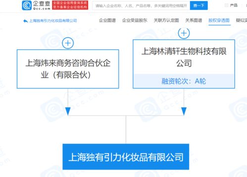 林清軒經營公司拓展業務版圖，新設化妝品公司并布局電子商務與計算機軟硬件