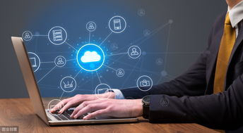 農(nóng)產(chǎn)品電子商務(wù)發(fā)展 機(jī)遇、挑戰(zhàn)與經(jīng)營策略探討